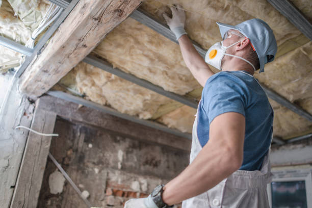  , MS Insulation Contractor Pros