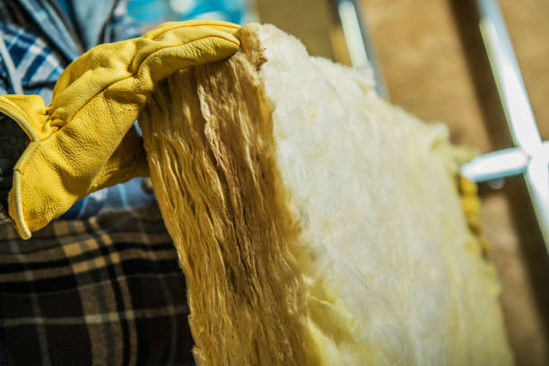 Best Insulation Maintenance and Repair in , MS