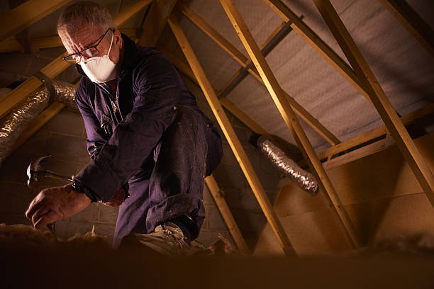 Best Cellulose Insulation in , MS